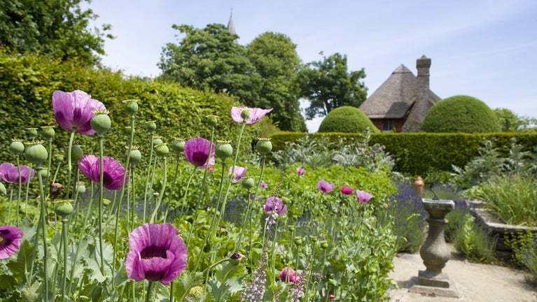 View of Alfriston Clergy House, Sussex from the garden through flowers